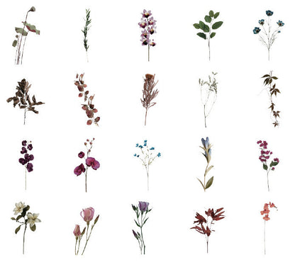 Natural Museum PET Stickers Set