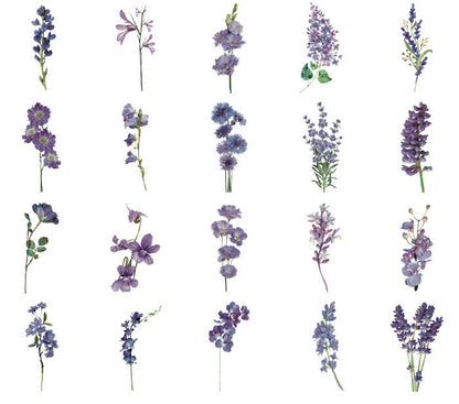 Natural Museum PET Stickers Set