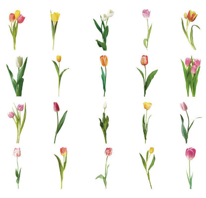 Natural Museum PET Stickers Set