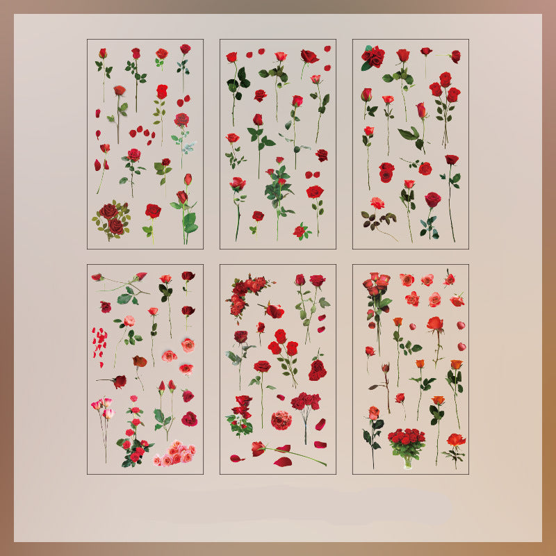 Natural Books PET Sticker Set