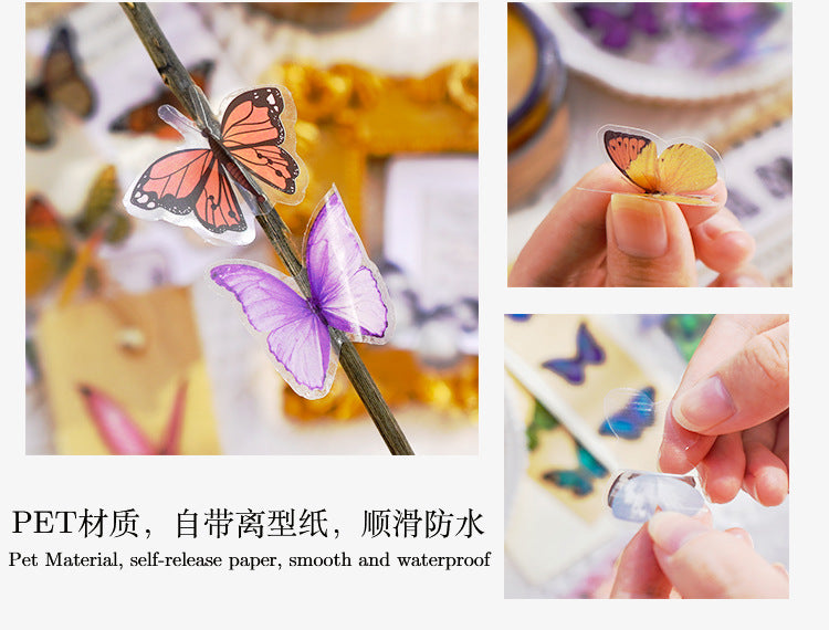 The World of Butterfly PET Sticker Set