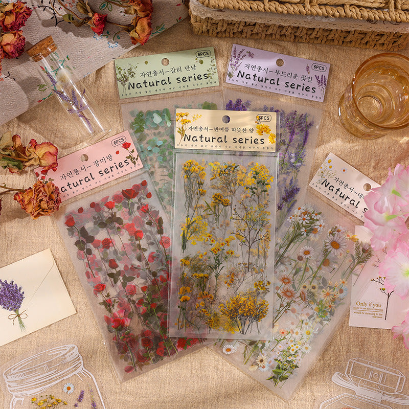 Natural Books PET Sticker Set