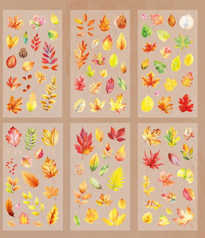 Natural Books PET Stickers Set