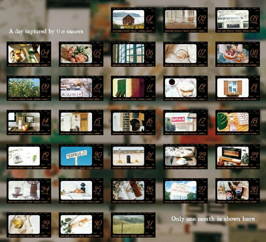 2026 Calendar Daily Film Tape