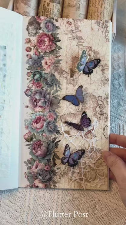 The World of Butterfly Stickers Set